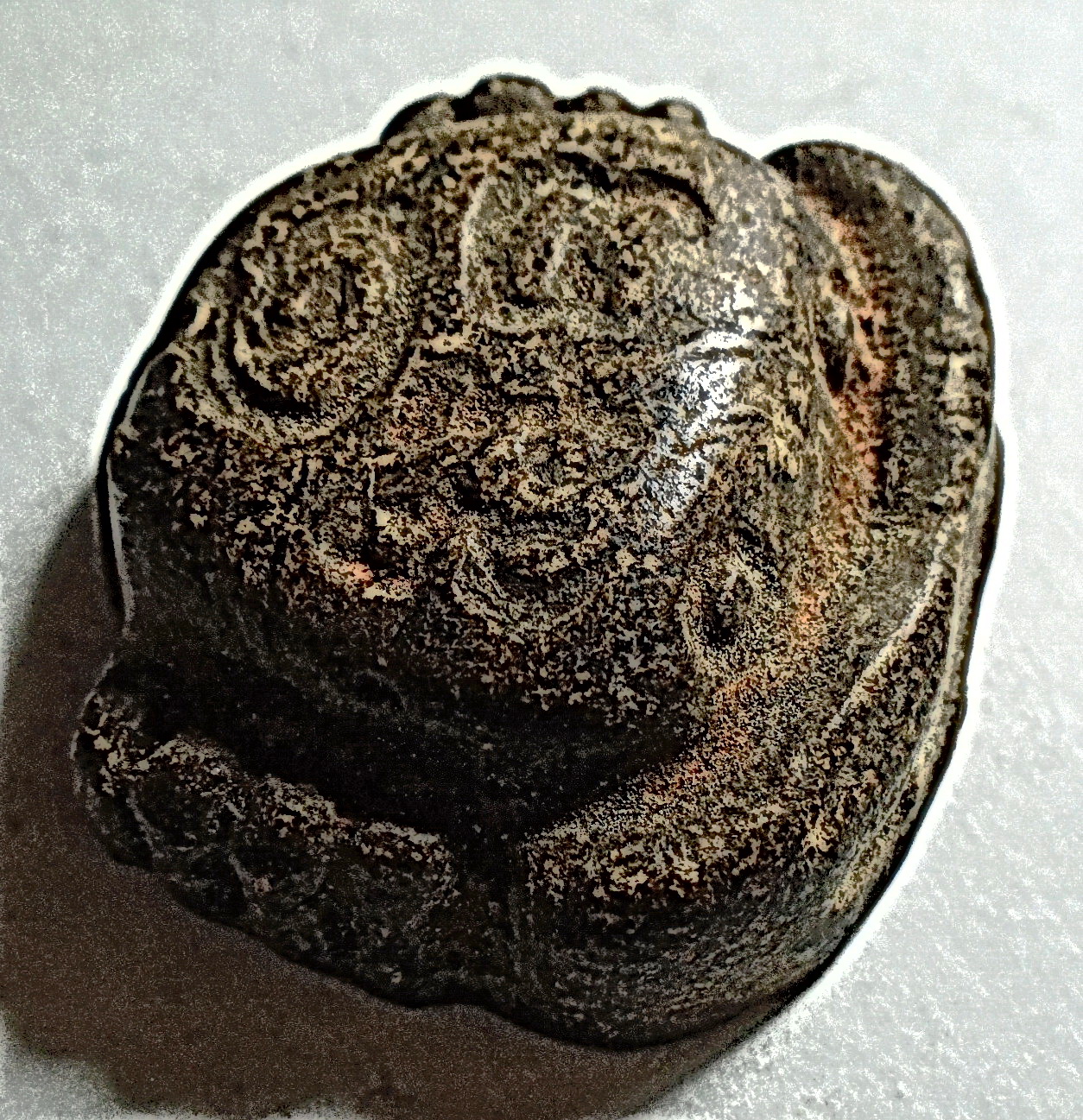 เครื่องรางเก่า เนื้อผงผสมผงว่านยา ไม่ทราบที่หลังจารย์ (ขายแล้ว)