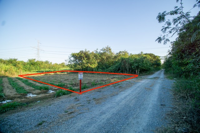 ขาย ที่ดิน ถมแล้ว แปลงสวย ต.ทุ่งบัว อ.กำแพงแสน จ.นครปฐม ใกล้ ม.เกษตรฯ กำแพงแสน