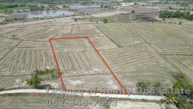 ขายที่ดิน ติดถนนคอนกรีต ต.เกาะหวาย อ.ปากพลี จ.นครนายก ราคาไม่แพง