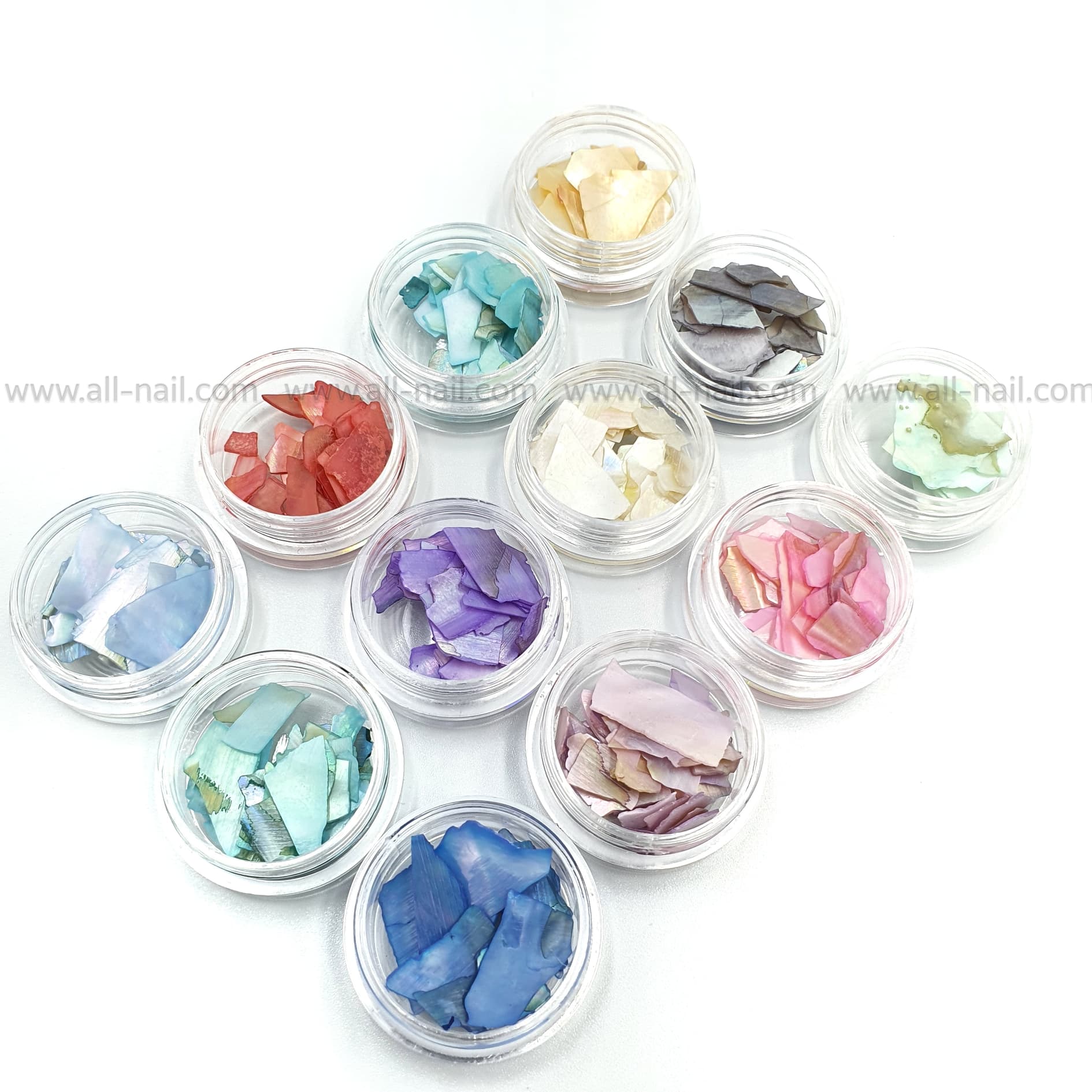 เปลือกหอยติดเล็บ 12สี