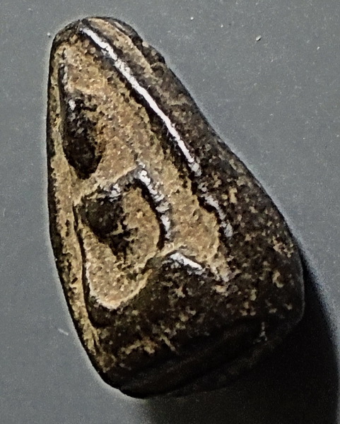 พระเม็ดน้อยหน่า กรุวัดศาลาปูน อยุธยา