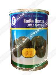 ฟักทองลูกผสม ลิตเติ้ล TA135