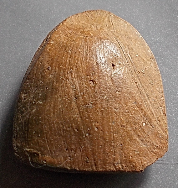 สังกัจจายน์ กรุลานดอกไม้ จ.สุโขทัย