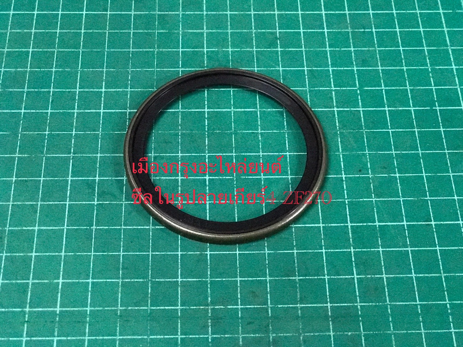 ซีลในรูปลายเกียร์4 ZF270(อิตาลี)