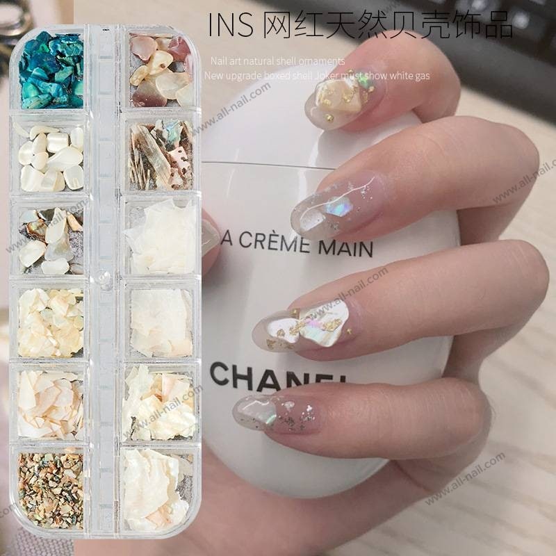 เปลือกหอยติดเล็บ เปลือกหอยตกแต่งเล็บ เกรดพรีเมี่ยม 1เซต/12แบบ