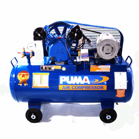 ชุดปั้มลม AUTO 1 PUMA PP2-PPM 1/2 HP (ชุด)