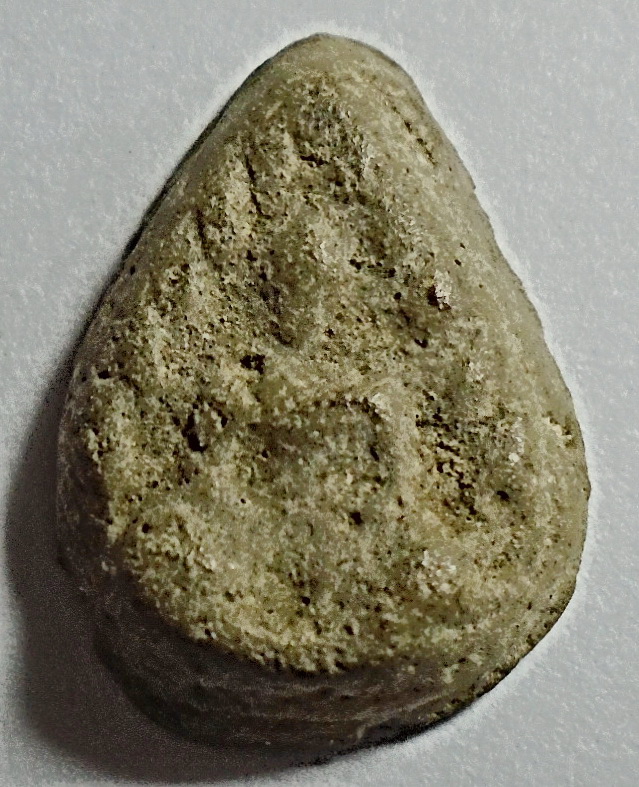 พระผงกลีบบัว พระครูใบฎีกาเกลี้ยง วัดสุทัศน์ ปี 2475