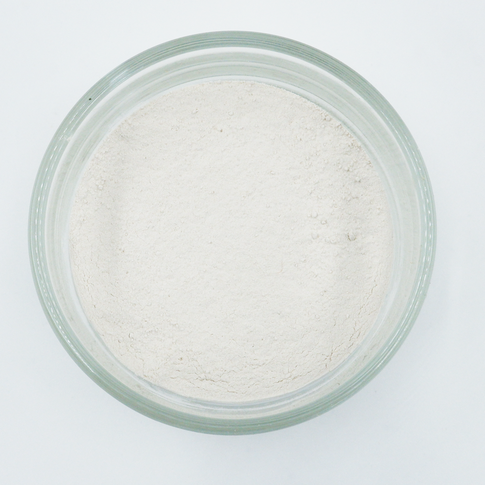 ผงแก่นตะวัน Jerusalem artichoke Organic