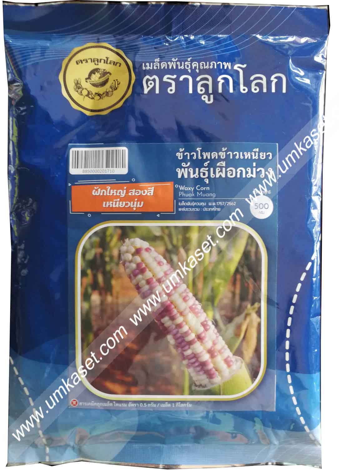 ข้าวโพดเข้าวเหนียว พันธุ์เผือกม่วง OP ตราลูกโลก