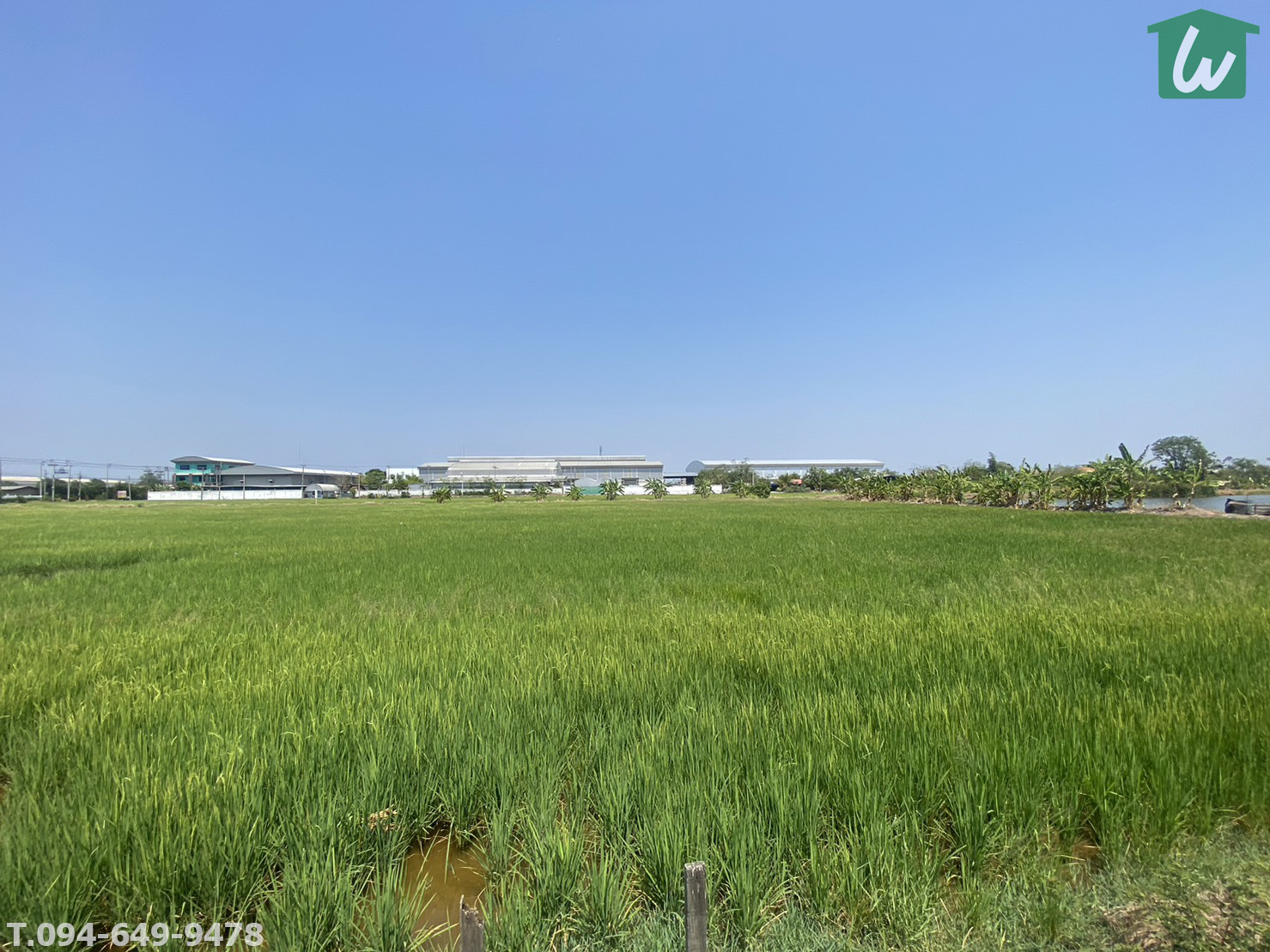 🏡ขายที่ดิน!! สีม่วง 26ไร่ บางนา กม.23 ซอยวัดบัวโรย สมุทรปราการ เหมาะสำหรับทำโรงงาน โกดังเคลังสินค้า (สัญญาปิด ติดเจ้าของ)