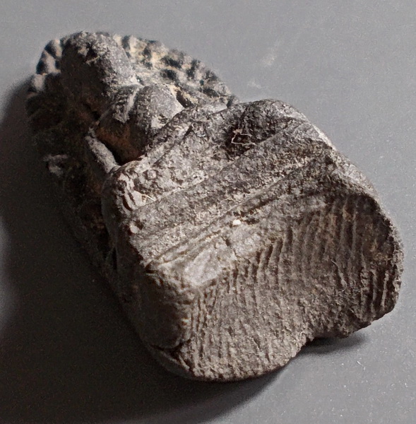 พระรอด เนื้อดิน วัดพระสิงห์ เชียงใหม่ ปี 96