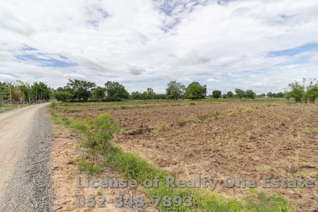 ขายที่ดิน ติดถนนคอนกรีต ติดลำห้วย ต.หนองบัวน้อย อ.สีคิ้ว จ.นครราชสีมา