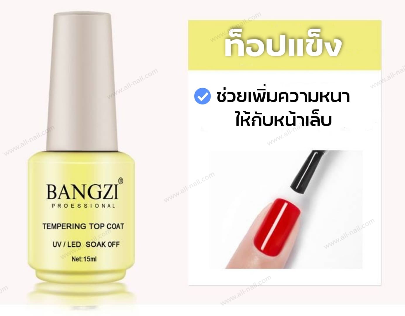 ท็อปเจล ท็อปแข็ง เบสเจล แคร์เจล 🔥 BANGZI ของแท้ 🔥