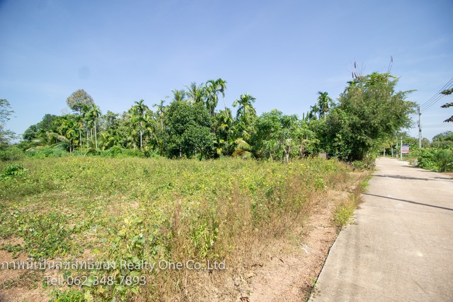 ขาย ที่ดิน ถมแล้ว ต.ไม้เค็ด ปราจีนบุรี ทางเข้าไม้เค็ดโฮมสเตย์