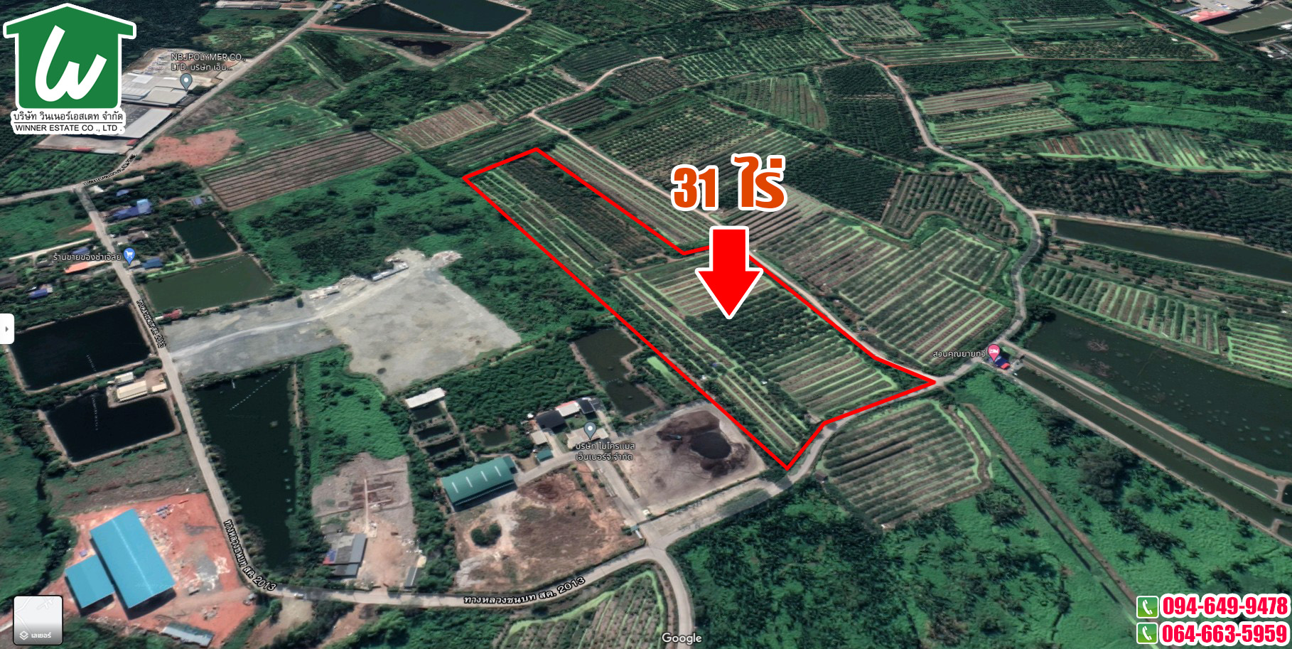 🏡ขายที่ดินราคาถูก‼🏡 บ้านเกาะ สมุทรสาคร 31 ไร่ ไร่ละ 2.9 ล้าน ถนนดำ กว้าง 145 เมตร ลึก 485 เมตร ผังสีเขียว เดินทางสะดวก เข้าออกได้หลายทาง