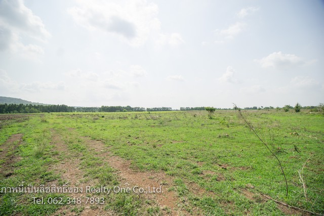 ขาย ที่ดิน นส.3 ก. แปลงสวย ติด ถ.สุรนารายณ์ ชัยบาดาล ลพบุรี