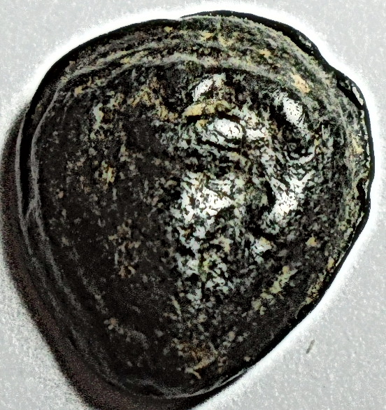 พระเนื้อตะกั่วเก่าไม่ทราบที่