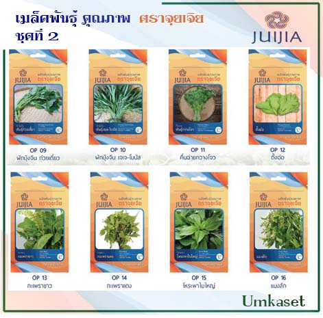 ผักซอง จุยเจีย ชุดที่2
