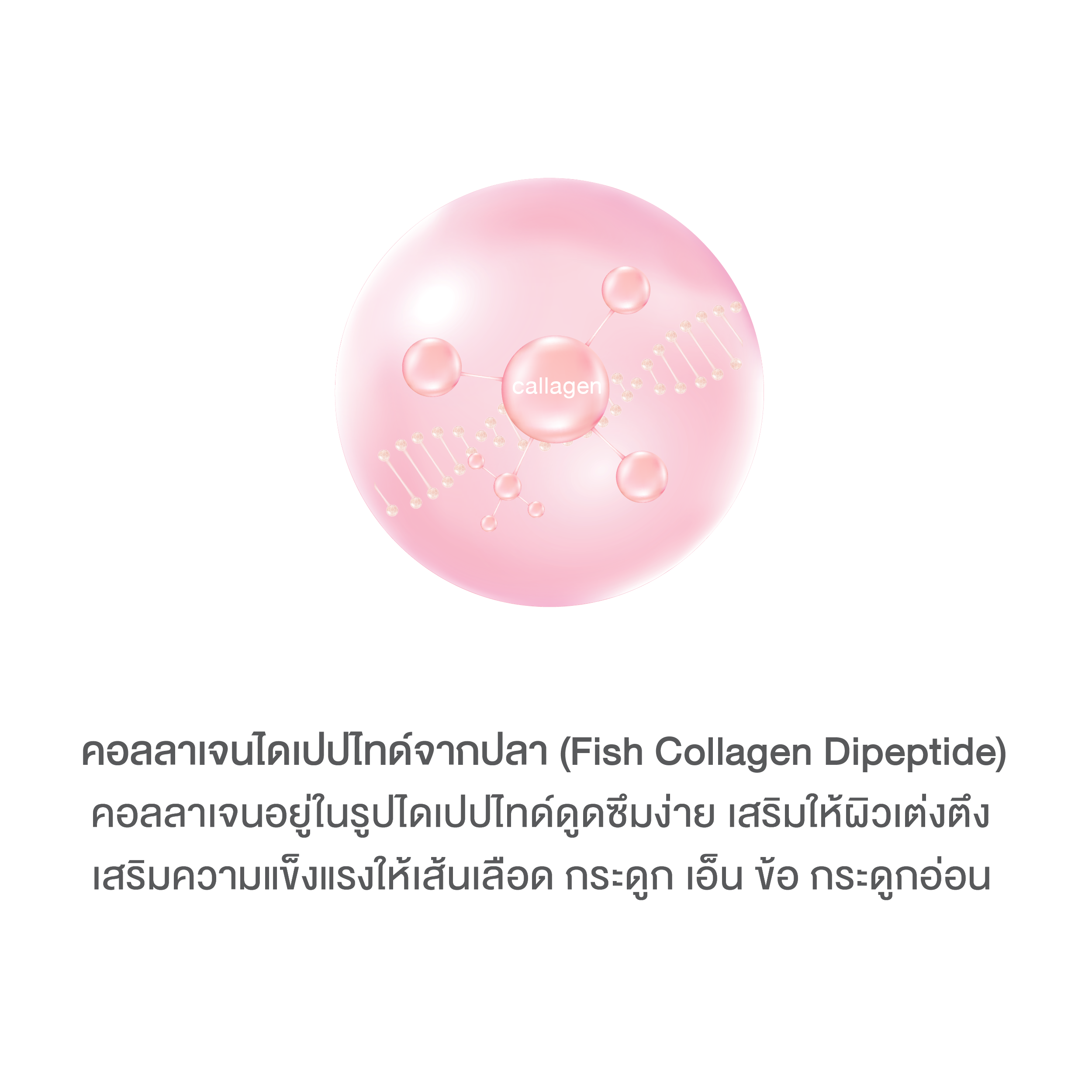 บลูม คอลลาเจน พลัส BOOM COLLAGEN PLUS