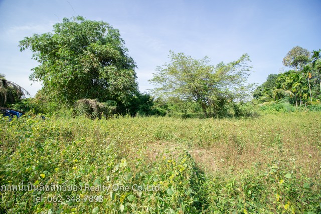 ขาย ที่ดิน ถมแล้ว ต.ไม้เค็ด ปราจีนบุรี ทางเข้าไม้เค็ดโฮมสเตย์