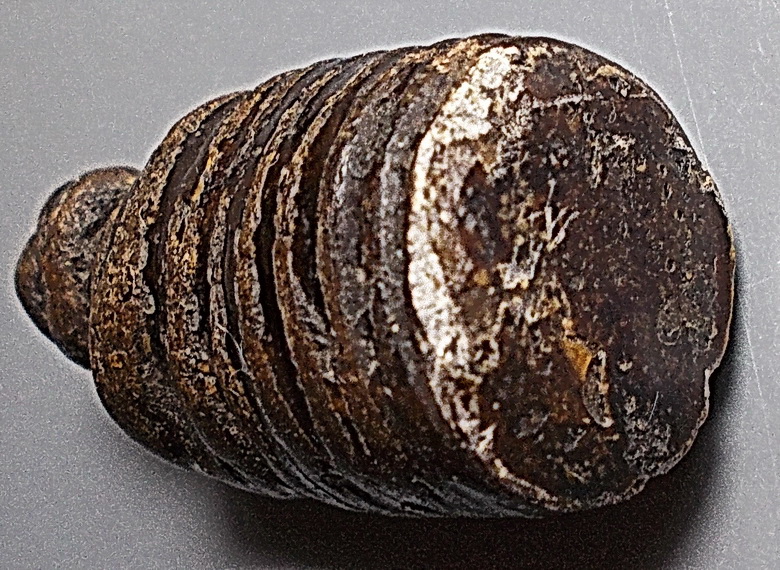 องคต ผงจุ่มรักเก่าลอยองค์