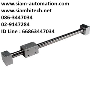 Cylinder ยี่ห้อ SMC รุ่น CY1B25H-300 (New)