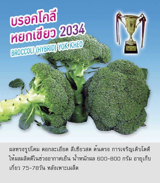 บร้อคโคลี่ หยกเขียว 2034 20 กรัม