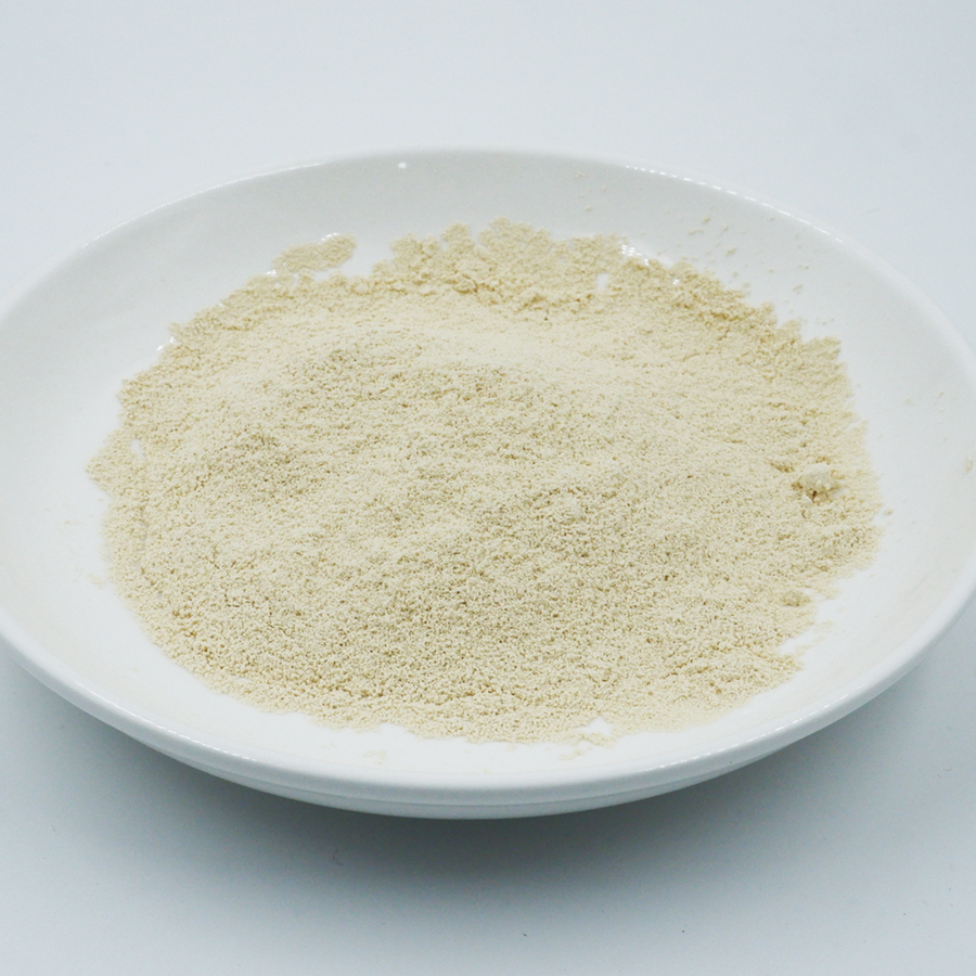 ผงแปะก๊วย เมล็ดแปะก๊วย Ginkgo seeds