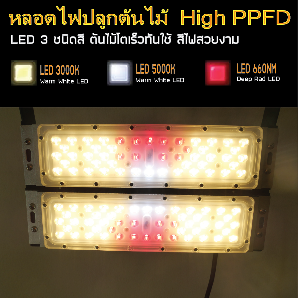 โคมไฟปลูกต้นไม้ GOD-100W LED Grow Light AC 220V ไฟปลูกพืช ไฟไม้ใบ ไฟปลูกมอนเตอร่า ไฟปลูกต้นไม้ ต้นไม้โตเร็วทันใช้ ไฟแสง 3250K มี LED 660nm