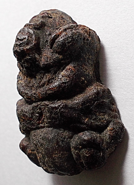 พญาการะเวก เนื้อครั่งผสมว่าน108 หลวงพ่อสังข์ วัดนากันตม ศรีสะเกษ ยุคแรก