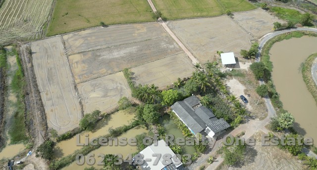 ขายที่ดิน ต.เกาะหวาย อ.ปากพลี จ.นครนายก เนื้อที่ 1 ไร่ 0.4 ตรว. ราคาไม่แพง