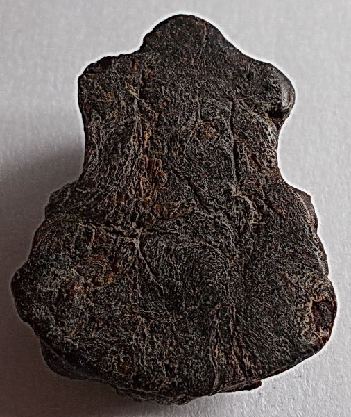 พญาการะเวก เนื้อครั่งผสมว่าน108 หลวงพ่อสังข์ วัดนากันตม ศรีสะเกษ ยุคแรก