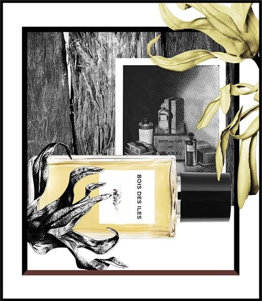 น้ำหอมแท้แบ่งขาย Chanel Les Exclusifs de Bois des Iles 💕Travel Size แบบทดลอง