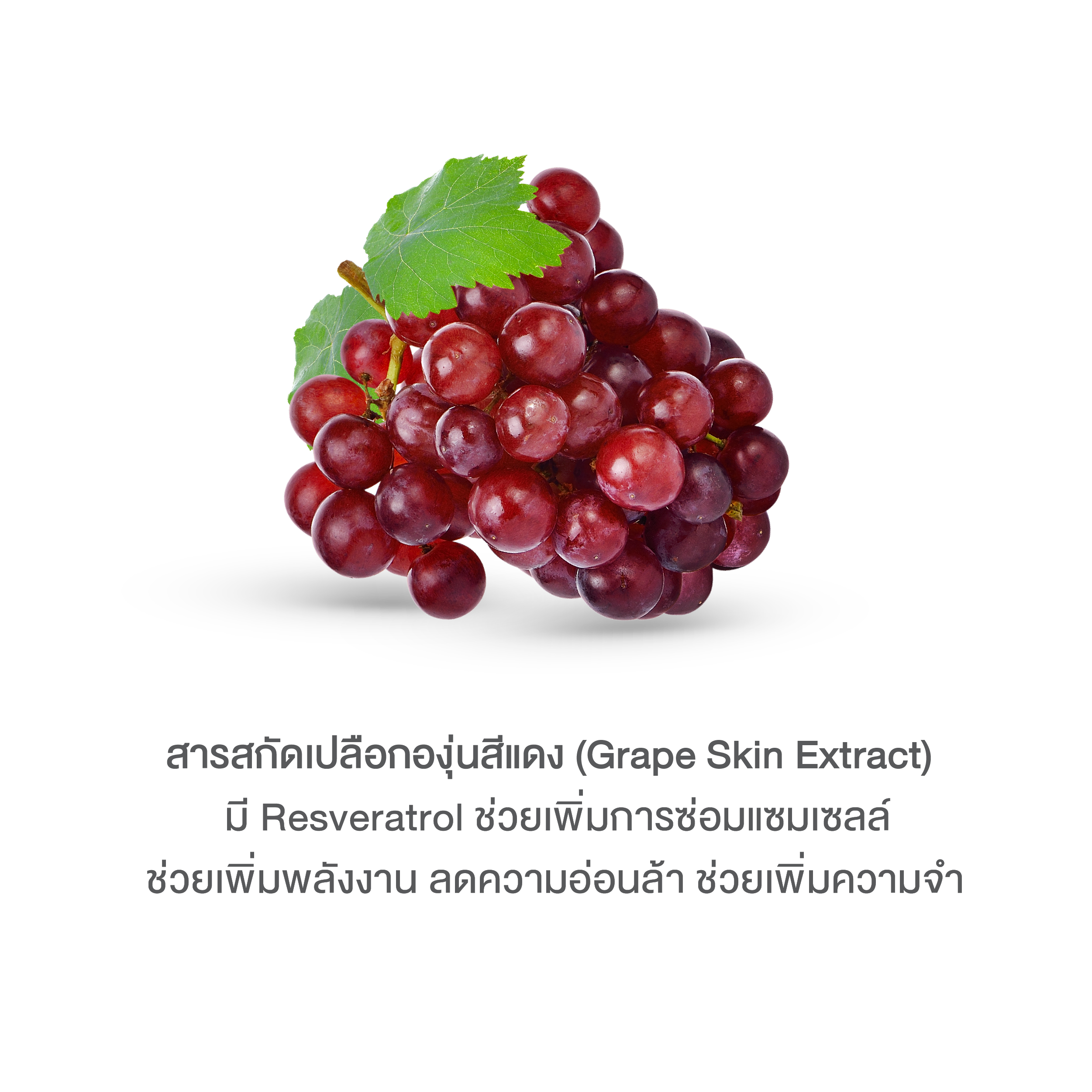 บลูม คอลลาเจน พลัส BOOM COLLAGEN PLUS