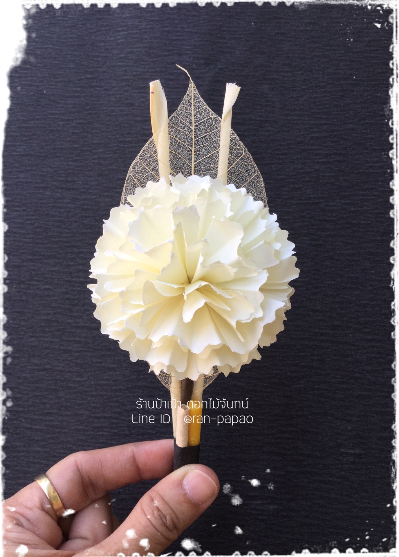 ดอกไม้จันทน์คาร์เนชั่นC+ มี 6 สี