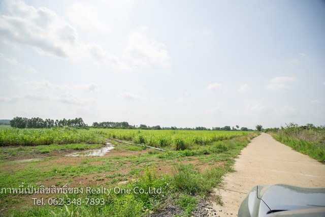 ขาย ที่ดิน นส.3 ก. แปลงสวย ติด ถ.สุรนารายณ์ ชัยบาดาล ลพบุรี