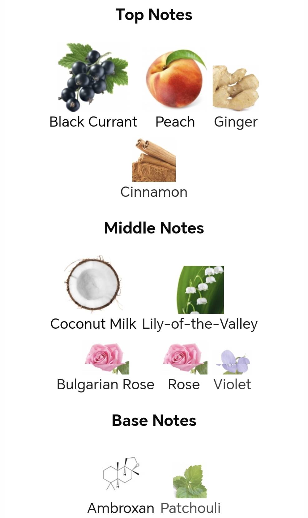 น้ำหอมแท้แบ่งขาย Louis Vuitton eLVes for women 100%ของแท้ น้ำหอมแบ่งขาย 💕Travel Size แบบทดลอง💦แบ่ง น้ำหอมกลิ่นใหม่ 2025