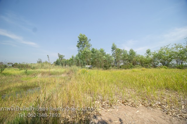 ขาย ที่ดิน แปลงสวย คลอง 15 ถนนตลาดต้นไม้ รังสิต นครนายก