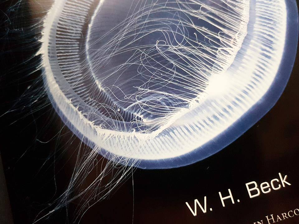 Glow : Animals with Their Own Night-Lights by W.H BECK (10 Awards)