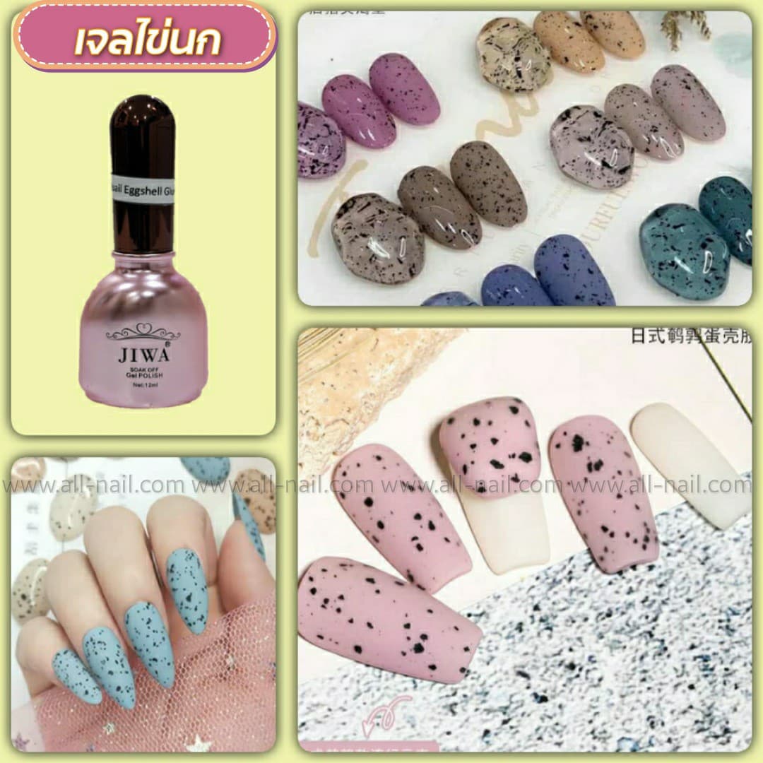 เจลไข่นก เจลเปลือกไข่ สีไข่นกกระทา Jiwa 12ml.