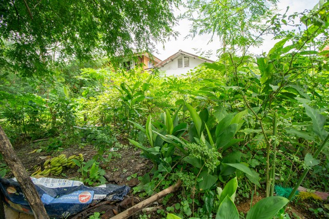 ขายที่ดินถมแล้ว ซอยเวิร์คพอยท์ บางพูด เมืองปทุมธานี