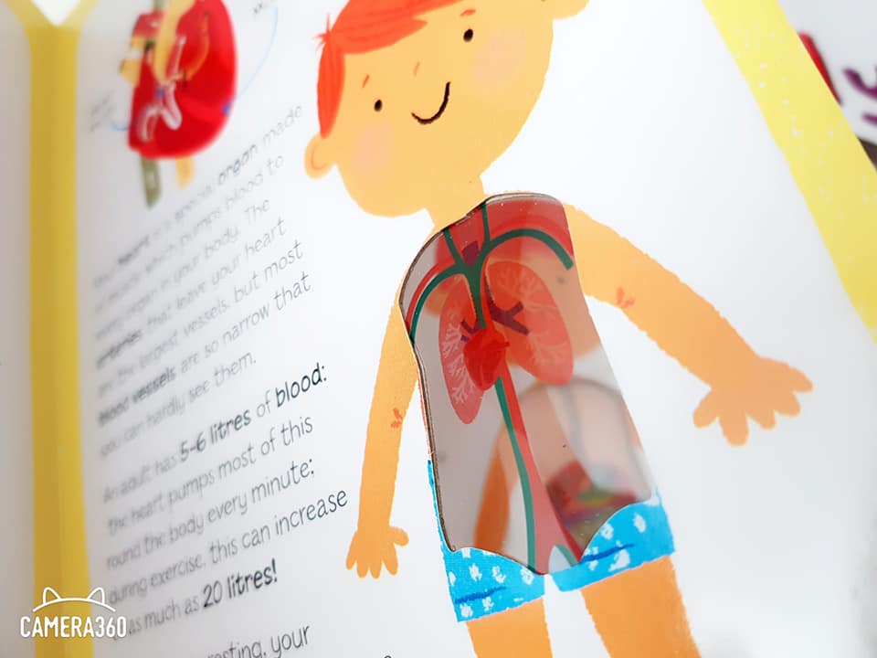 The Incredible Human Body