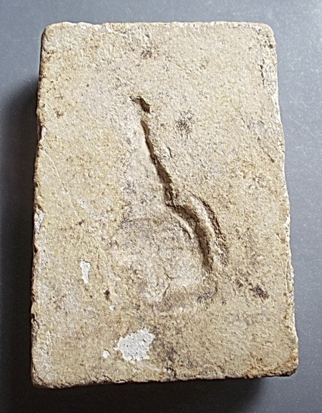 สมเด็จเศียรโตหลังยันต์ พระครูสุพจน์ วัดสุทัศน์ พิธีอินโดจีน ปี 2484