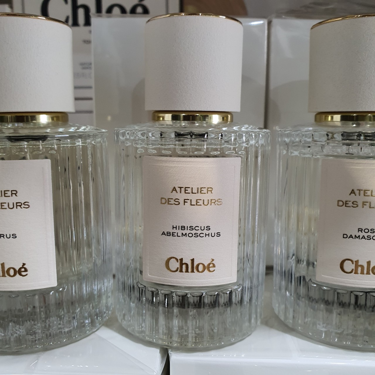 น้ำหอมแท้แบ่งขาย Chloe Hibiscus Abelmoschus - Chloé Atelier des Fleurs 💦แบ่ง 💕Travel Size แบบทดลอง