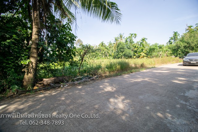 ขาย ที่ดิน ถมแล้ว ต.ไม้เค็ด ปราจีนบุรี ทางเข้าไม้เค็ดโฮมสเตย์