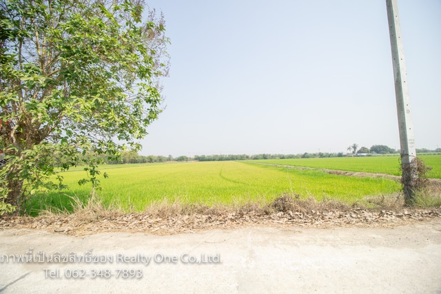 ขาย ที่ดิน ติดถนนคอนกรีต ใกล้ รพ.สามชุก สุพรรณบุรี