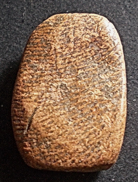 สังกัจจายน์ เนื้อดิน กรุลานดอกไม้ สุโขทัย