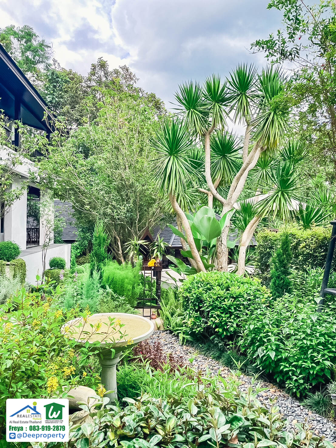 🏡 ขายรีสอร์ทหรูเพื่อสุขภาพ Perana Wellness Resort เชียงใหม่ ⛰️ พร้อมดำเนินกิจการต่อได้ทันที! คืนทุนเร็ว✨