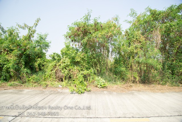 ขาย ที่ดิน ติดถนนซอย ถมแล้ว บางบัวทอง ซอยคุ้มบัวทอง ราคาถูกที่สุด