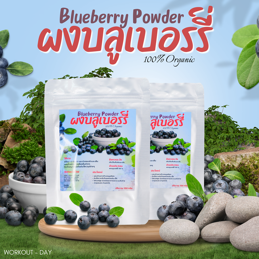 ผงบลูเบอรี่ Blueberry powder
